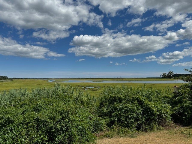 view of landscape featuring a rural view and a water view