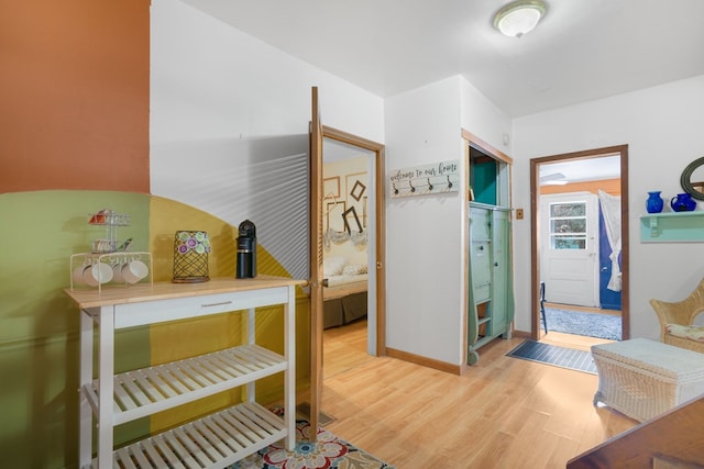 bathroom featuring wood-type flooring