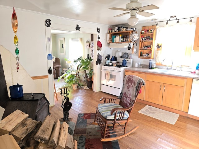 kitchen with ceiling fan, light wood-type flooring, sink, and white appliances