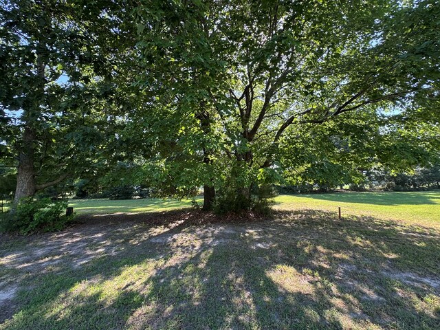 203 Blue Heaven Rd Unit 58, Cape Charles, VA 23310 - photo 3