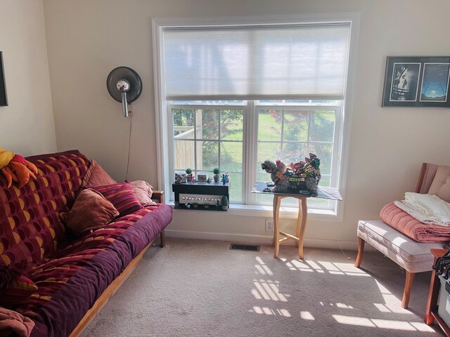 16377 Hopeland Way, Bloxom, VA 23308 - photo 21