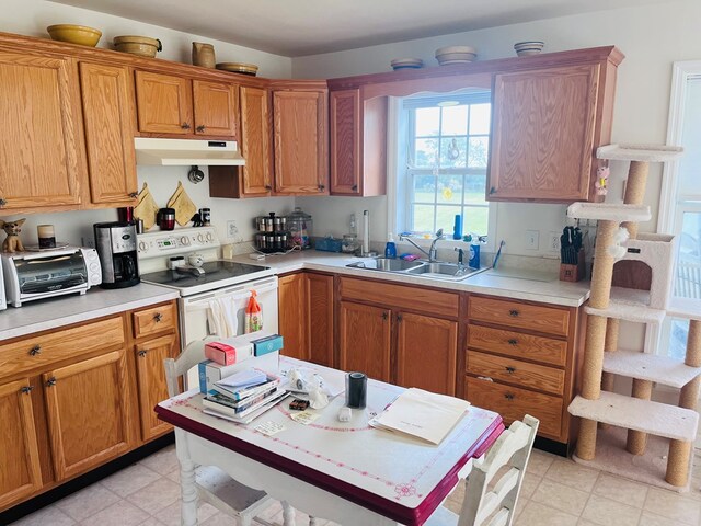 16377 Hopeland Way, Bloxom, VA 23308 - photo 16