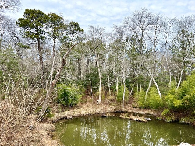 17481 Mitchell Ln, Parksley, VA 23421 - water view