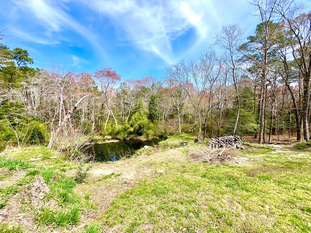 17481 Mitchell Ln, Parksley, VA 23421 - view of yard featuring a wooded view