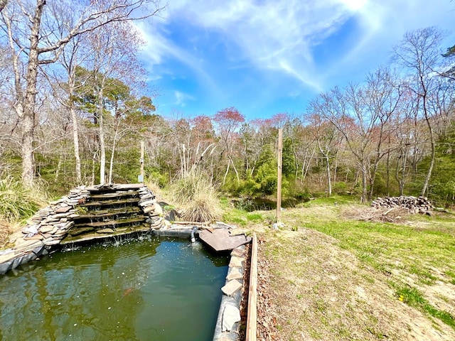 17481 Mitchell Ln, Parksley, VA 23421 - view of dock area