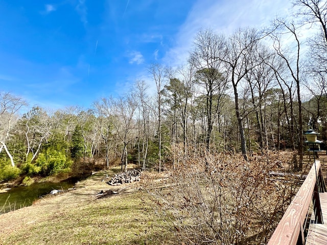 17481 Mitchell Ln, Parksley, VA 23421 - view of nature featuring a forest view