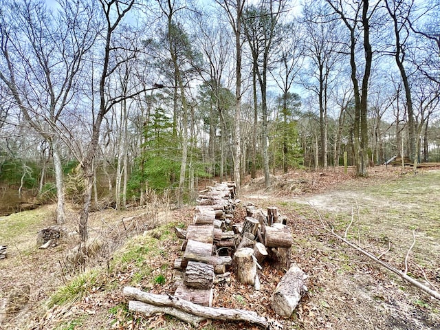 17481 Mitchell Ln, Parksley, VA 23421 - view of yard