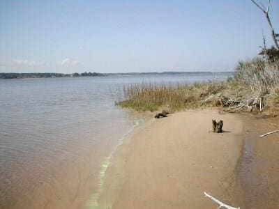 0 Holly Shores Ln Unit H, Hacksneck, VA 23356 - photo 1