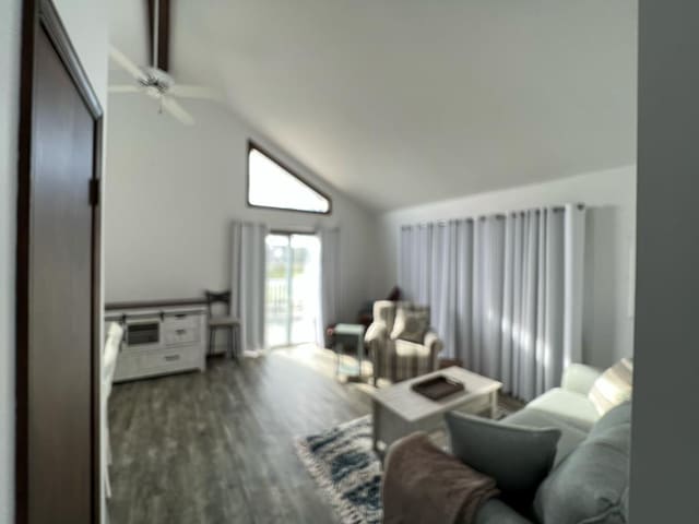 living area featuring vaulted ceiling, ceiling fan, and wood finished floors