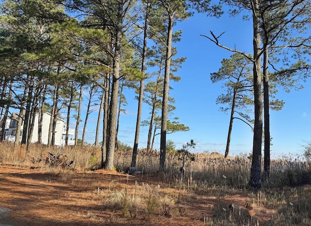 view of local wilderness