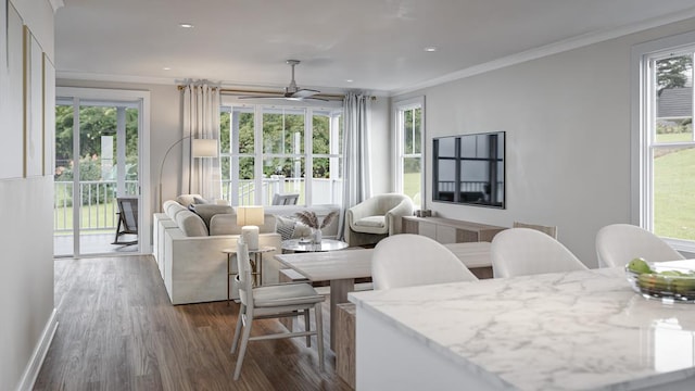 dining area with ceiling fan, dark hardwood / wood-style flooring, and ornamental molding