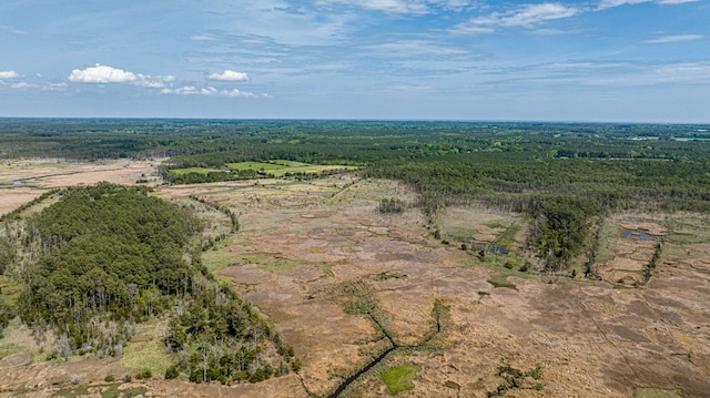 LOT32 Youngs Creek Rd Unit 32, Bloxom, VA 23308