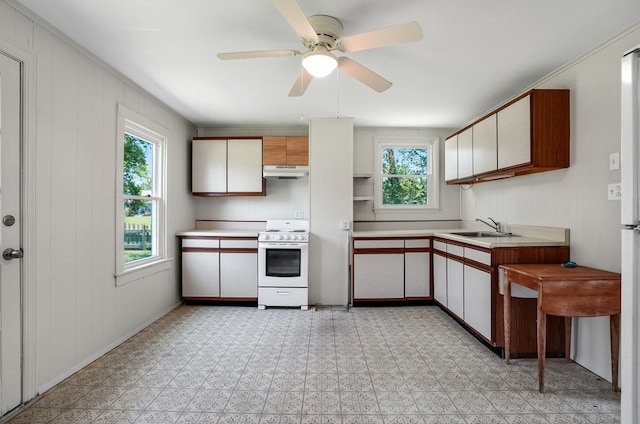 6033 Lewis St, Chincoteague, VA 23336 - photo 16