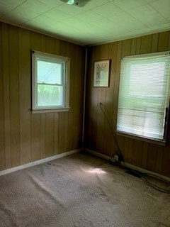 carpeted spare room with wooden walls and a healthy amount of sunlight