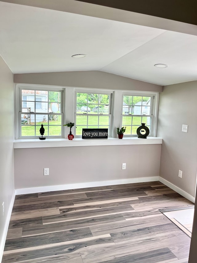 3469 Willis Wharf Rd, Exmore, VA 23350 - spare room featuring lofted ceiling, wood finished floors, and plenty of natural light