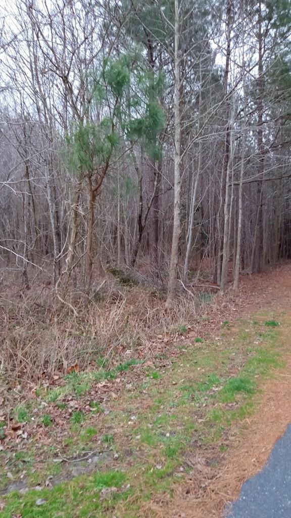 LotA Country Club Road A, Melfa, VA 23410 - photo 4