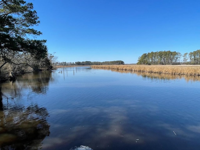 LOT31 Miles Rd Unit 31, New Church, VA 23415 - photo 21