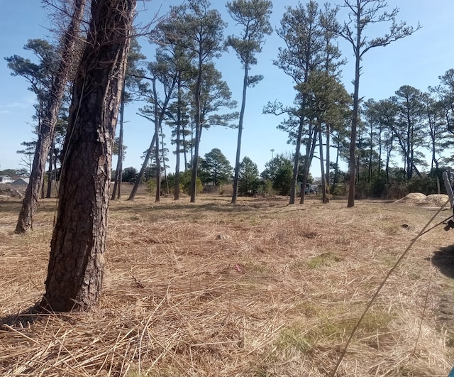 Listing photo 2 for LOT2 Doe Bay Ln Unit 2, Chincoteague VA 23336