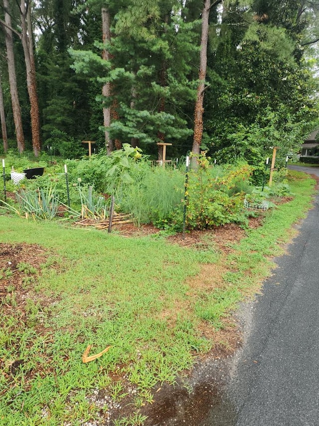 23613 Front St, Accomac, VA 23301 - photo 11