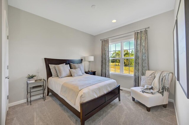 view of carpeted bedroom