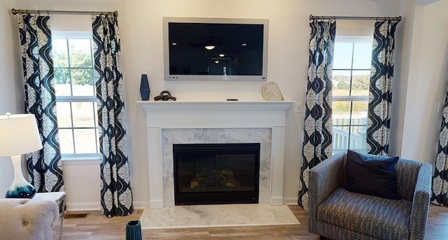 living room featuring wood-type flooring and a fireplace