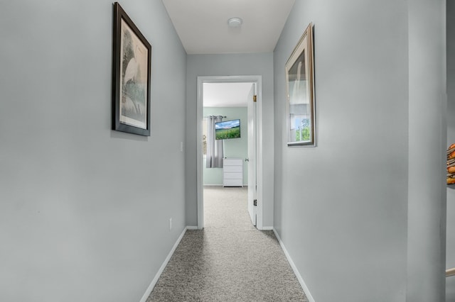 6394 Teal Ln, Chincoteague, VA 23336 - photo 18