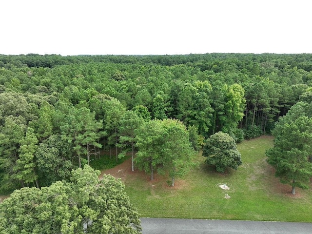 LOT37 Corbin Hall Ln Unit 37, Horntown, VA 23395 - photo 1