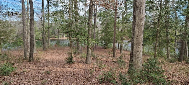 Listing photo 3 for 26 Olde Mill Lane 26&27, New Church VA 23415