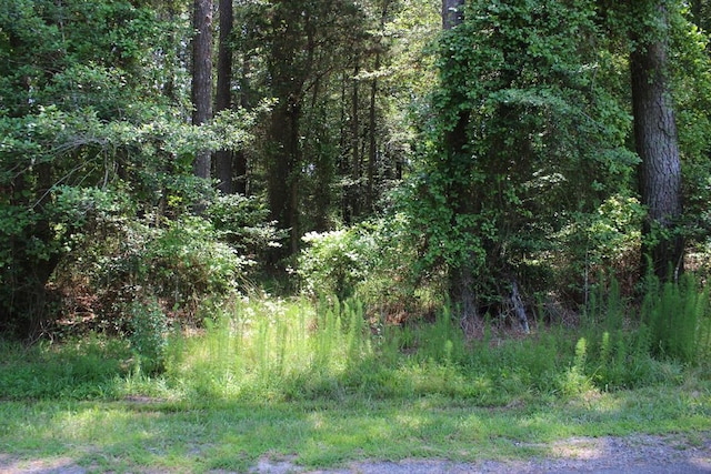 1075 Amidship Dr Unit 1075, Greenbackville, VA 23356 - photo 1