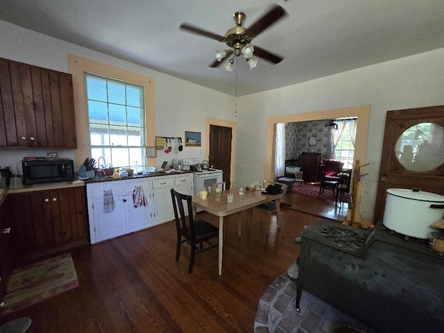 kitchen with dark brown cabinets, dark hardwood / wood-style flooring, ceiling fan, and a healthy amount of sunlight