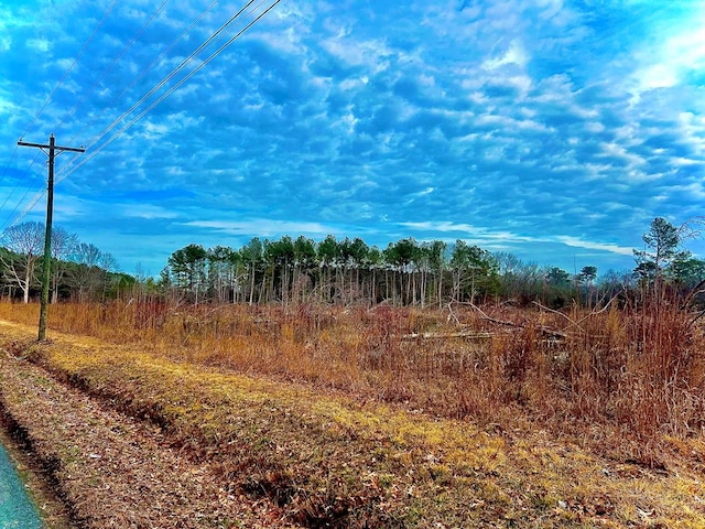 LOT209 Bethel Church Rd Unit 209, Hallwood, VA 23359 - photo 1