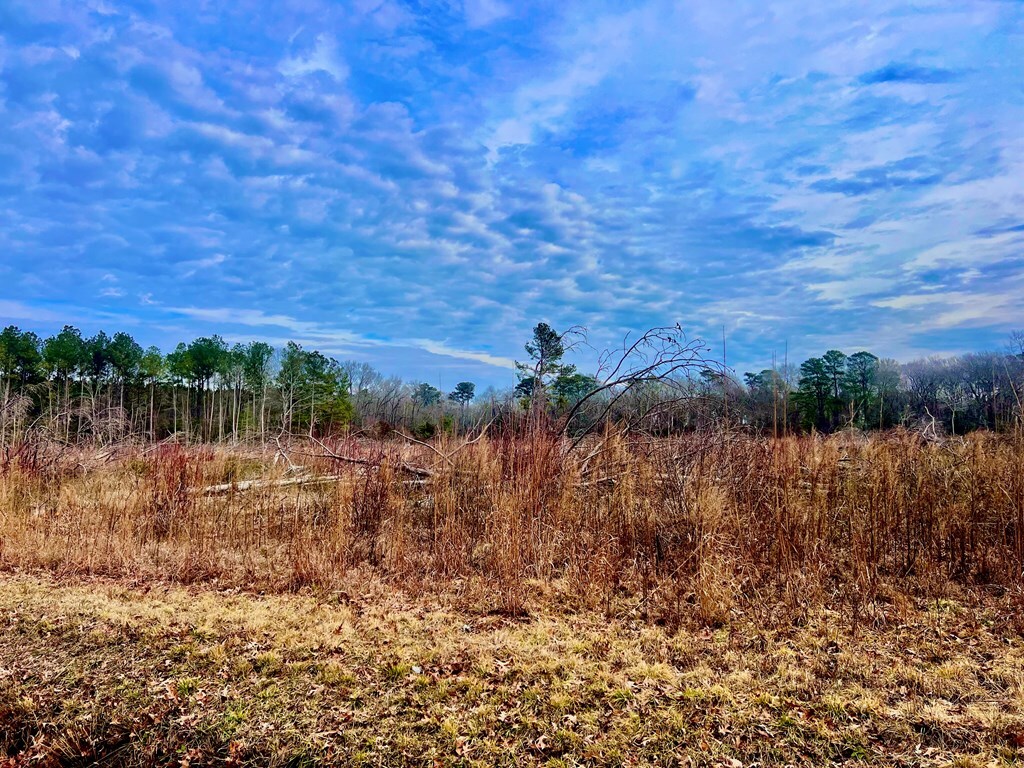 LOT209 Bethel Church Rd Unit 209, Hallwood, VA 23359 - photo 3