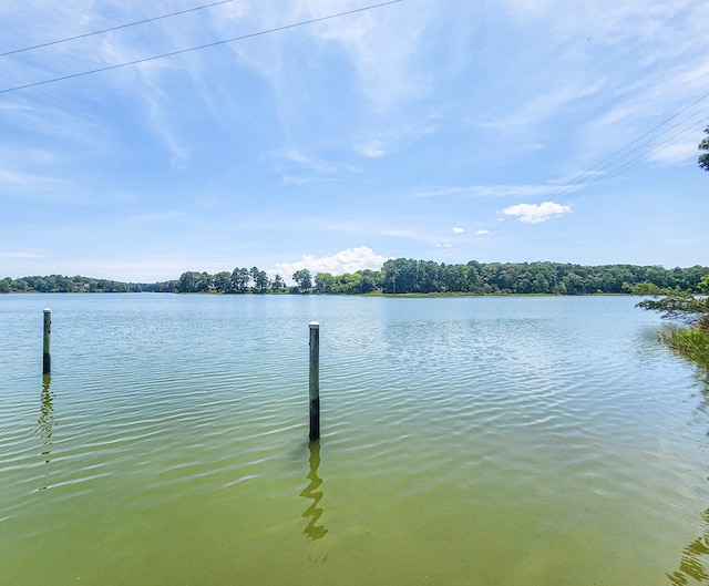13581 Solitude Trl, Machipongo, VA 23405 - photo 41