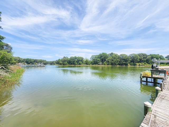 13581 Solitude Trl, Machipongo, VA 23405 - photo 40
