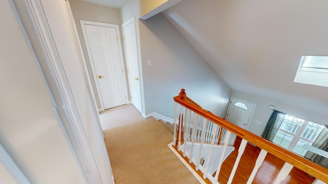 hallway featuring carpet and vaulted ceiling with skylight