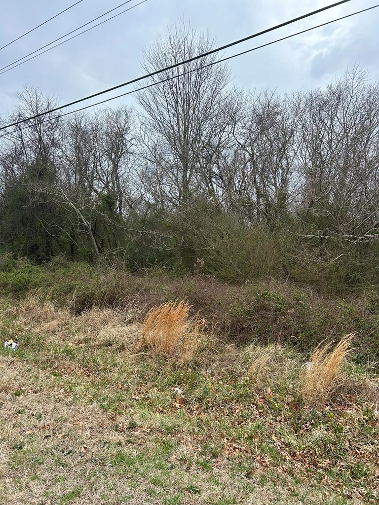 0 Arlington Rd Unit 5, Cape Charles, VA 23310 - photo 1