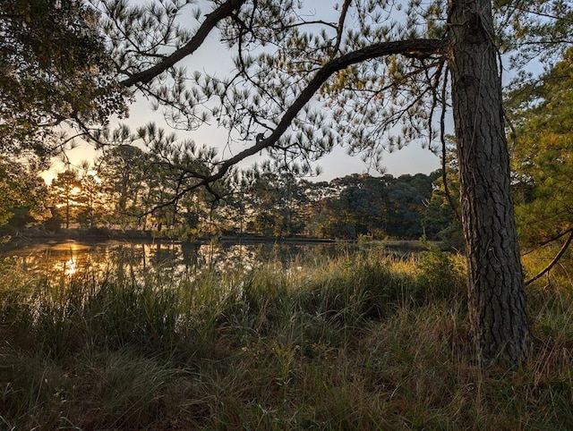 view of nature at dusk