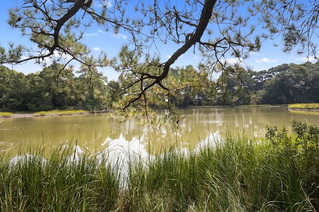 view of water feature