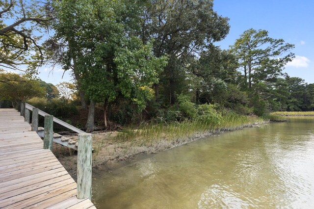 dock area with a water view