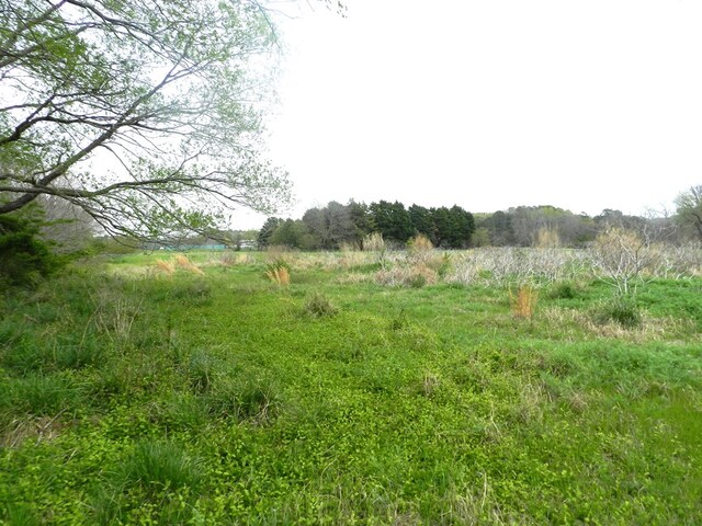 LOT158 Spoonbill Ln Unit 158, Machipongo, VA 23405 - photo 3