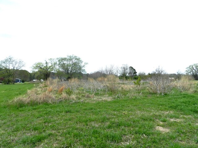 LOT158 Spoonbill Ln Unit 158, Machipongo, VA 23405 - photo 4