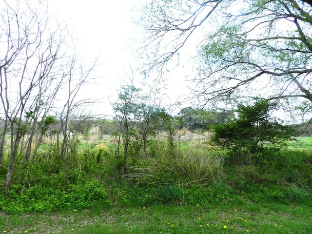 LOT158 Spoonbill Ln Unit 158, Machipongo, VA 23405 - photo 2
