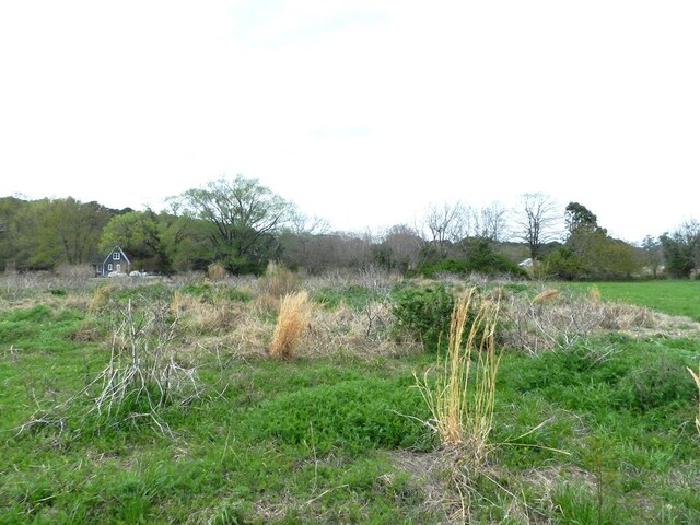 LOT158 Spoonbill Ln Unit 158, Machipongo, VA 23405 - photo 5