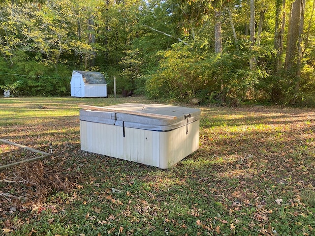 view of yard featuring a storage shed