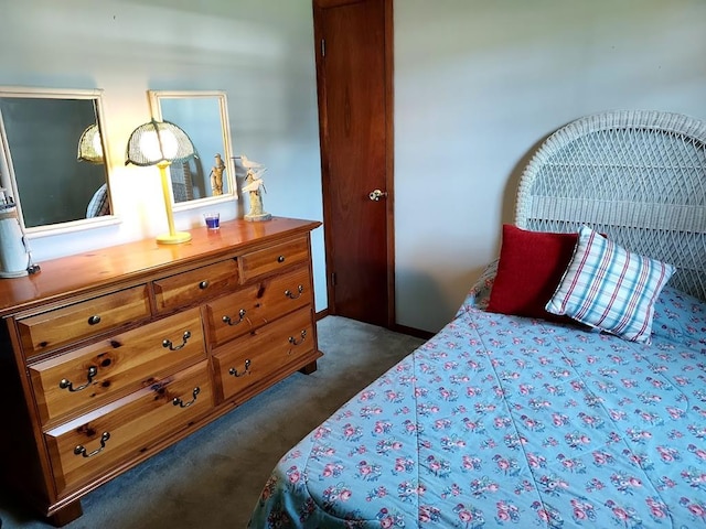 bedroom featuring dark colored carpet