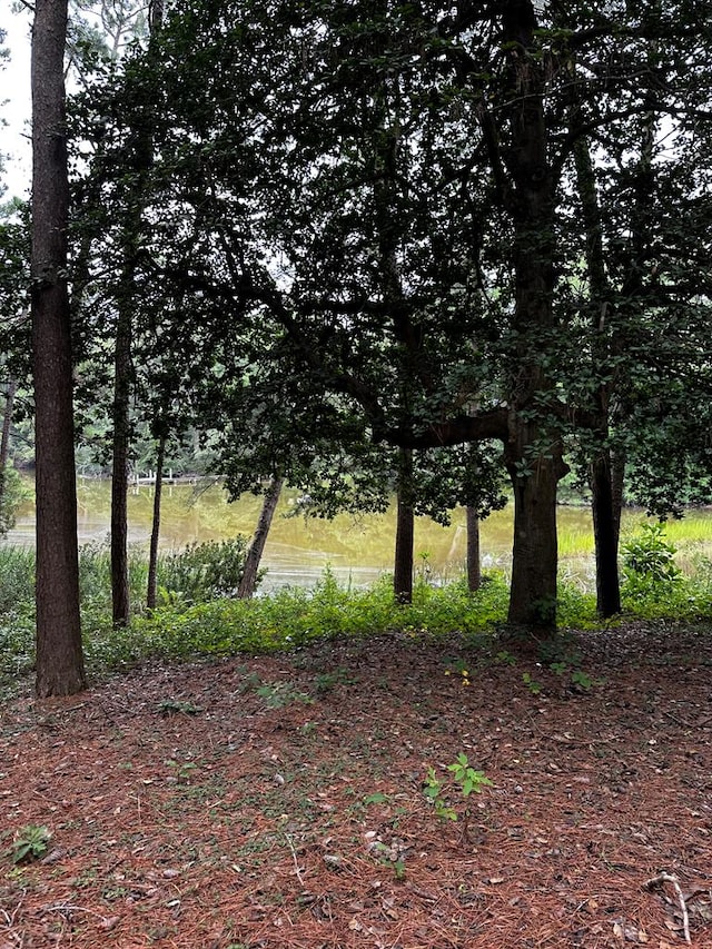 7086 Long Point Rd, Exmore, VA 23350 - view of local wilderness