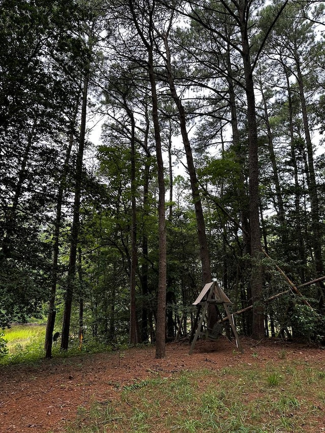 7086 Long Point Rd, Exmore, VA 23350 - view of local wilderness