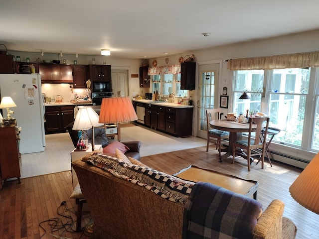 living room with a healthy amount of sunlight, light wood-type flooring, and sink