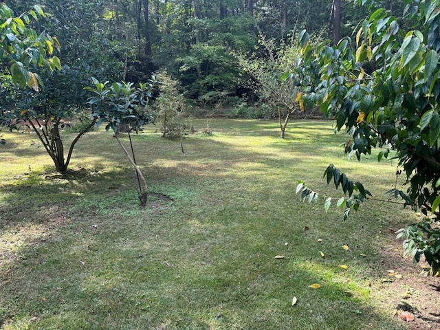 26491 Mason Rd, Bloxom, VA 23308 - photo 12
