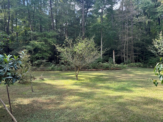 26491 Mason Rd, Bloxom, VA 23308 - photo 15